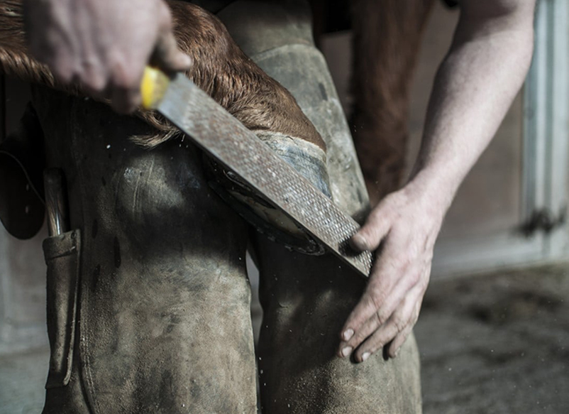 horseshoeing tools