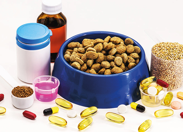 dog supplements for dogs