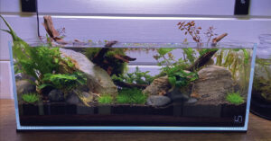 Nano Tanks