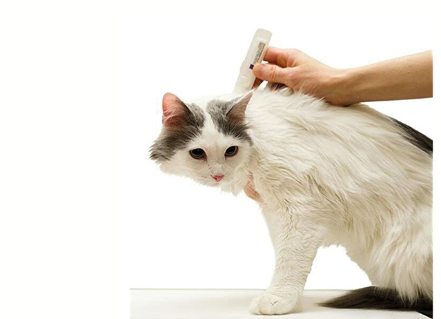 best flea spray for cats