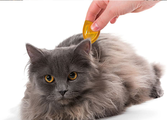 flea spray for cats