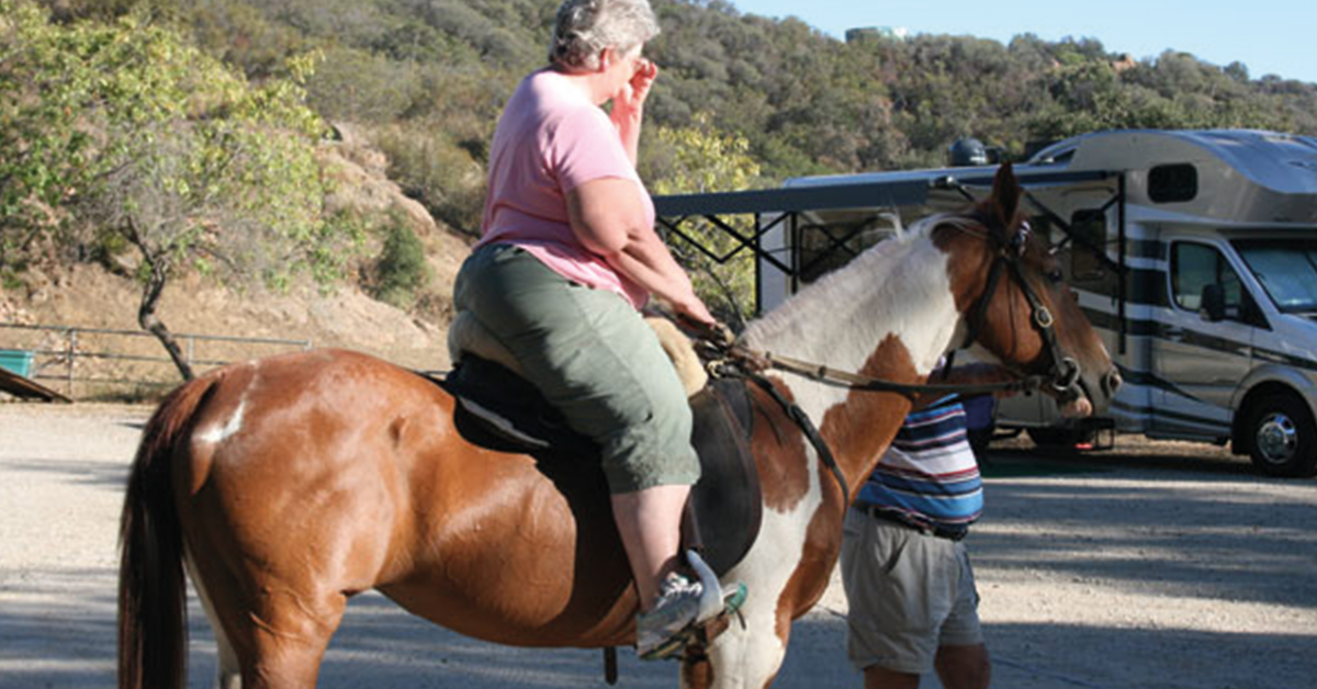 horse riding for heavy riders​