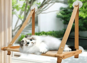 Cat Hammocks for Lage Cats