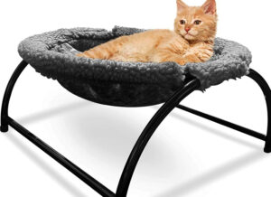 Cat Hammocks For Cages