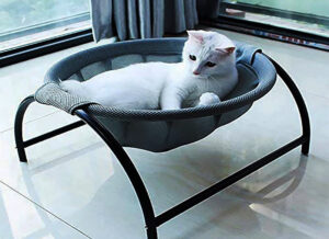 Cat Hammocks 