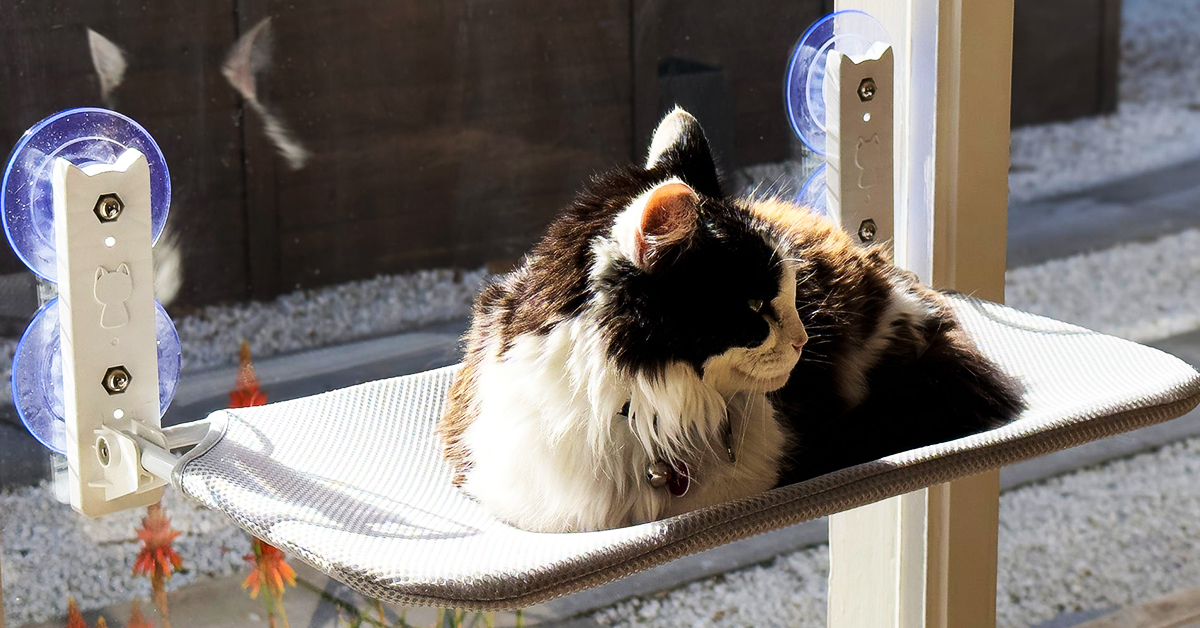 Cat Hammocks